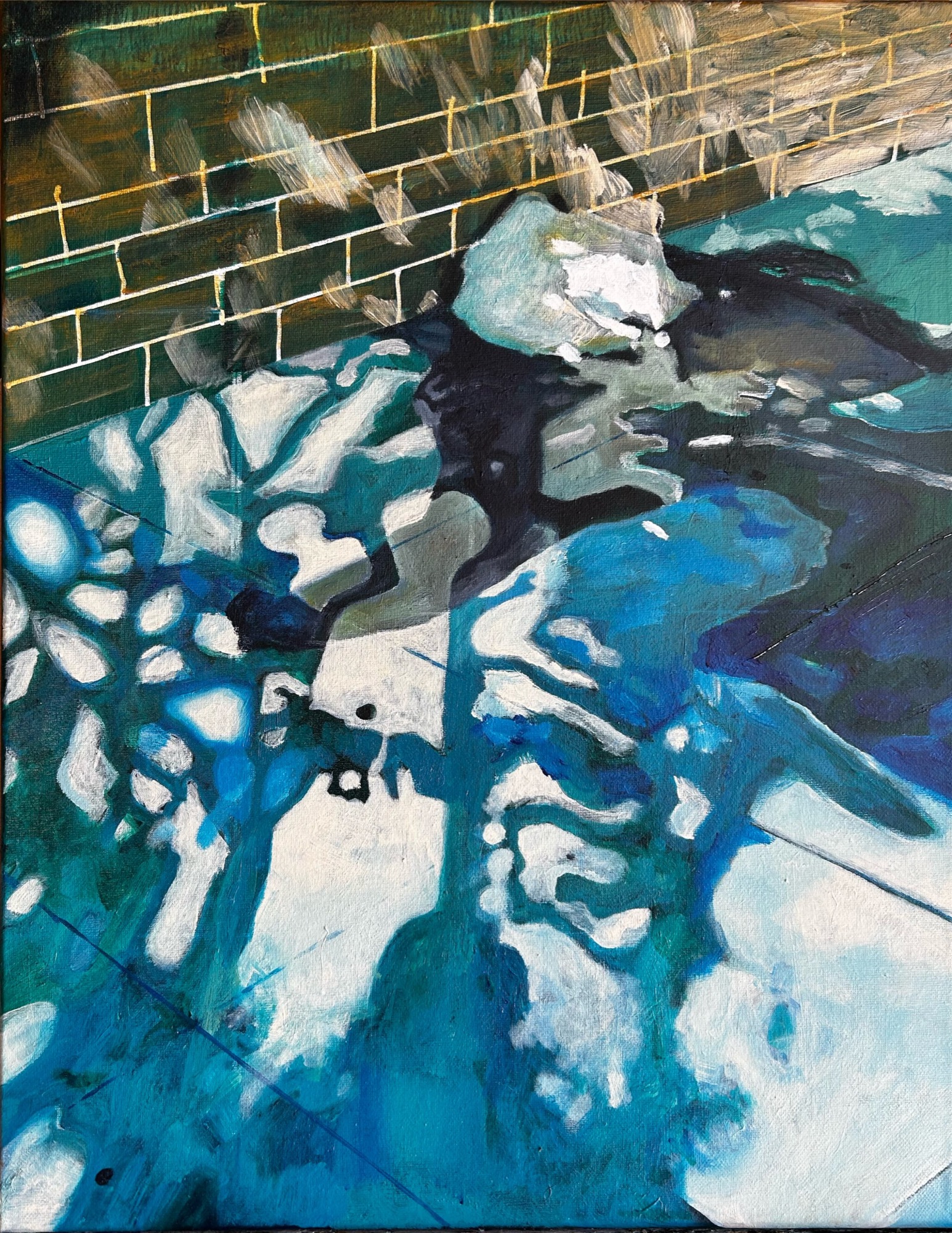 Tree shadows on blue pavement